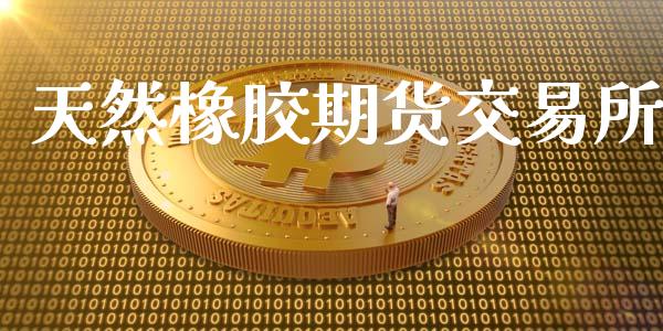 天然橡胶期货交易所_https://m.fsyjjx.cn_股指期货保证金_第1张