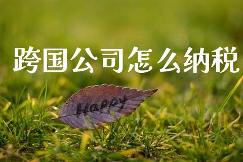 跨国公司怎么纳税_https://m.fsyjjx.cn_期货保证金计算_第1张