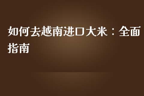 如何去越南进口大米：全面指南_https://m.fsyjjx.cn_股指期货保证金_第1张