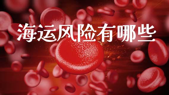 海运风险有哪些_https://m.fsyjjx.cn_期货保证金_第1张