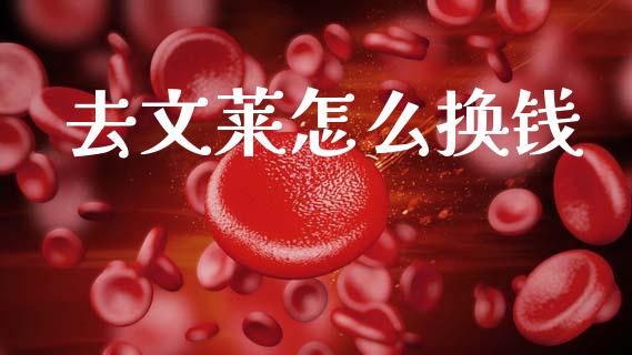 去文莱怎么换钱_https://m.fsyjjx.cn_股指期货保证金_第1张