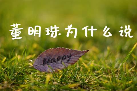 董明珠为什么说_https://m.fsyjjx.cn_股指期货保证金_第1张
