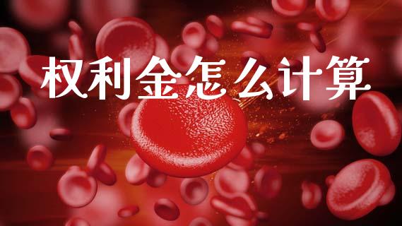 权利金怎么计算_https://m.fsyjjx.cn_期货如何开户_第1张