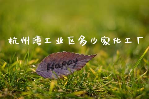 杭州湾工业区多少家化工厂_https://m.fsyjjx.cn_期货如何开户_第1张