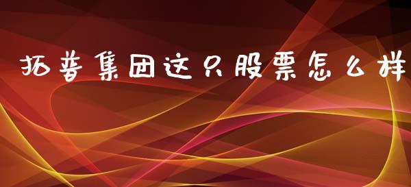 拓普集团这只股票怎么样_https://m.fsyjjx.cn_期货保证金_第1张