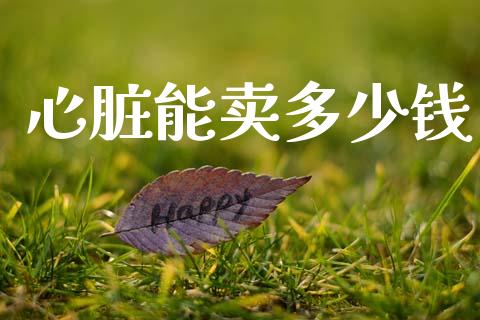 心脏能卖多少钱_https://m.fsyjjx.cn_期货保证金计算_第1张