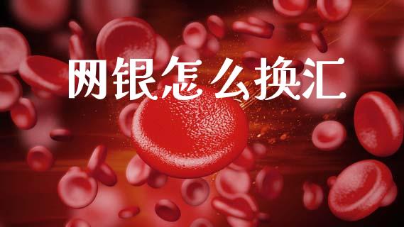网银怎么换汇_https://m.fsyjjx.cn_期货保证金_第1张