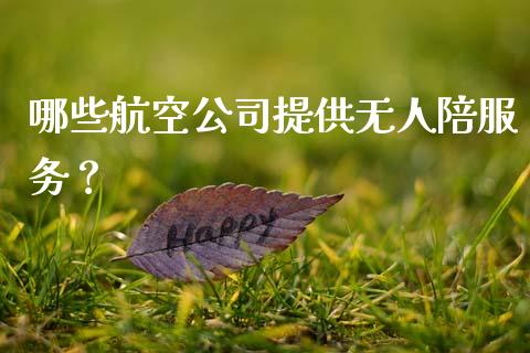哪些航空公司提供无人陪服务?_期货保证金计算_第1张_期货如何开户_期货保证金_期货保证金计算_股指期货保证金 哪些航空公司提供无人陪服务?_https://m.fsyjjx.cn_期货保证金计算_第1张