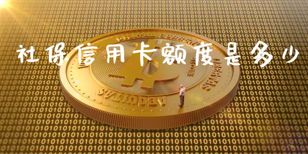 社保信用卡额度是多少_https://m.fsyjjx.cn_股指期货保证金_第1张