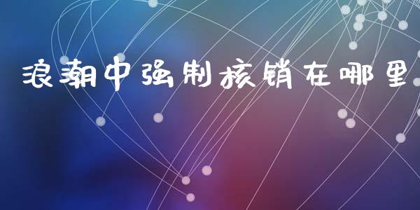 浪潮中强制核销在哪里_https://m.fsyjjx.cn_股指期货保证金_第1张