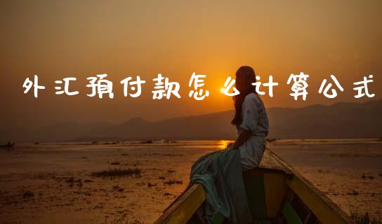 外汇预付款怎么计算公式_https://m.fsyjjx.cn_期货保证金计算_第1张