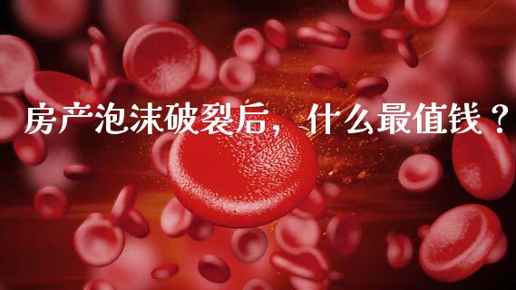 房产泡沫破裂后，什么最值钱？_https://m.fsyjjx.cn_期货保证金_第1张