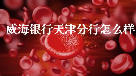 威海银行天津分行怎么样_https://m.fsyjjx.cn_股指期货保证金_第1张