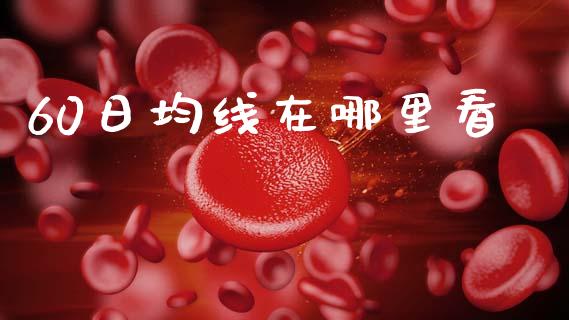 60日均线在哪里看_https://m.fsyjjx.cn_期货如何开户_第1张