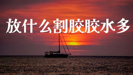 放什么割胶胶水多_期货如何开户_第1张_期货如何开户_期货保证金_期货保证金计算_股指期货保证金 放什么割胶胶水多_https://m.fsyjjx.cn_期货如何开户_第1张