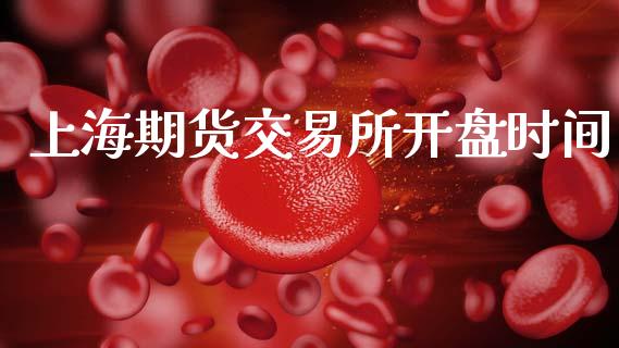 上海期货交易所开盘时间_https://m.fsyjjx.cn_期货保证金计算_第1张