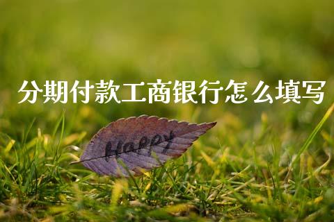 分期付款工商银行怎么填写_https://m.fsyjjx.cn_期货保证金计算_第1张