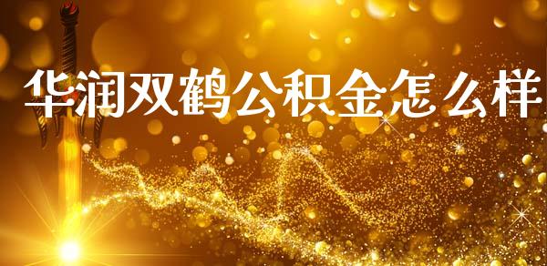 华润双鹤公积金怎么样_https://m.fsyjjx.cn_期货保证金_第1张