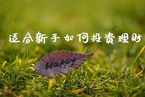 适合新手如何投资理财_https://m.fsyjjx.cn_股指期货保证金_第1张