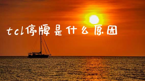 tcl停牌是什么原因_https://m.fsyjjx.cn_股指期货保证金_第1张
