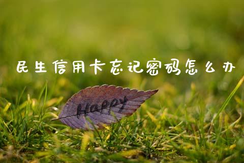 民生信用卡忘记密码怎么办_https://m.fsyjjx.cn_股指期货保证金_第1张