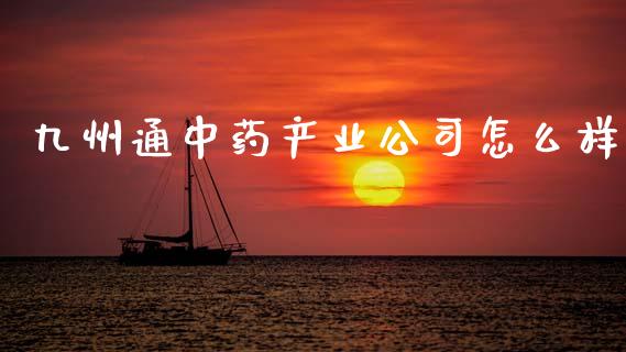 九州通中药产业公司怎么样_https://m.fsyjjx.cn_股指期货保证金_第1张
