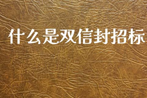 什么是双信封招标_https://m.fsyjjx.cn_期货保证金计算_第1张