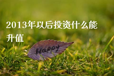2013年以后投资什么能升值_https://m.fsyjjx.cn_期货如何开户_第1张