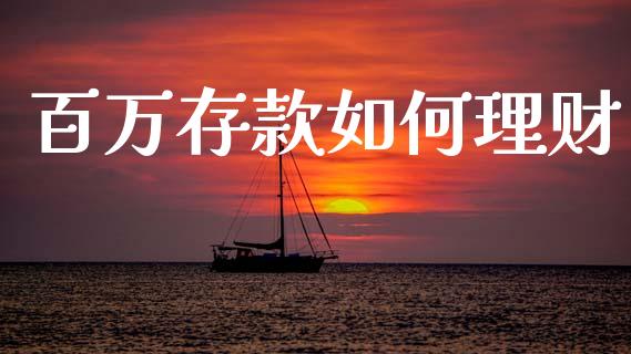 百万存款如何理财_https://m.fsyjjx.cn_期货保证金计算_第1张