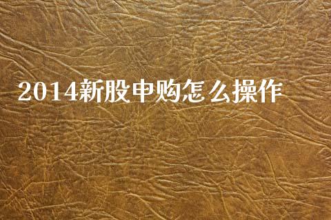 2014新股申购怎么操作_https://m.fsyjjx.cn_股指期货保证金_第1张