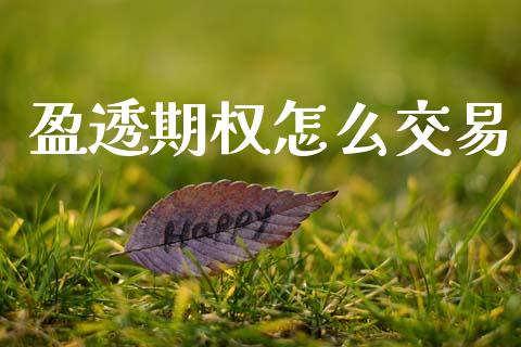 盈透期权怎么交易_https://m.fsyjjx.cn_股指期货保证金_第1张