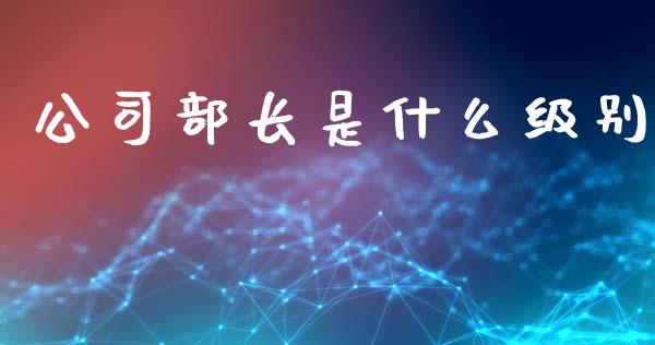 公司部长是什么级别_https://m.fsyjjx.cn_期货保证金_第1张