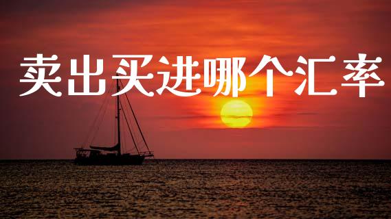 卖出买进哪个汇率_https://m.fsyjjx.cn_期货如何开户_第1张