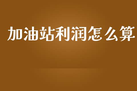 加油站利润怎么算_https://m.fsyjjx.cn_期货保证金计算_第1张
