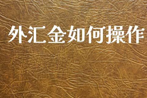 外汇金如何操作_https://m.fsyjjx.cn_期货保证金_第1张