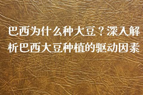 巴西为什么种大豆？深入解析巴西大豆种植的驱动因素_https://m.fsyjjx.cn_期货保证金计算_第1张