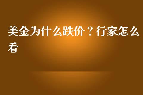 美金为什么跌价？行家怎么看_https://m.fsyjjx.cn_股指期货保证金_第1张