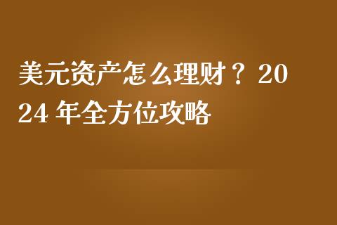 美元资产怎么理财？ 2024 年全方位攻略_https://m.fsyjjx.cn_期货如何开户_第1张