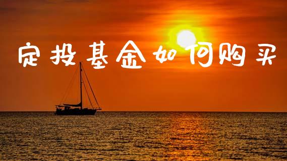定投基金如何购买_https://m.fsyjjx.cn_期货保证金_第1张