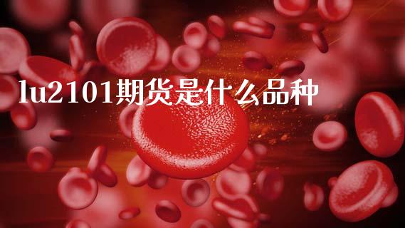 lu2101期货是什么品种_https://m.fsyjjx.cn_期货保证金_第1张
