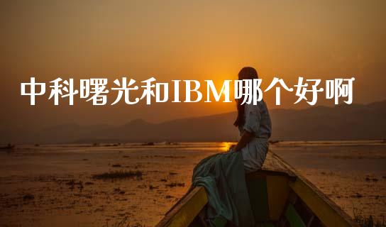 中科曙光和IBM哪个好啊_https://m.fsyjjx.cn_股指期货保证金_第1张