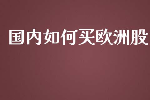 国内如何买欧洲股_https://m.fsyjjx.cn_期货如何开户_第1张