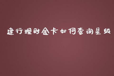 建行理财金卡如何查询星级_https://m.fsyjjx.cn_期货保证金_第1张