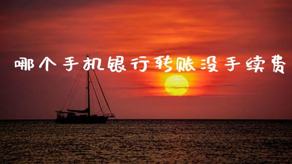 哪个手机银行转账没手续费_https://m.fsyjjx.cn_期货保证金计算_第1张
