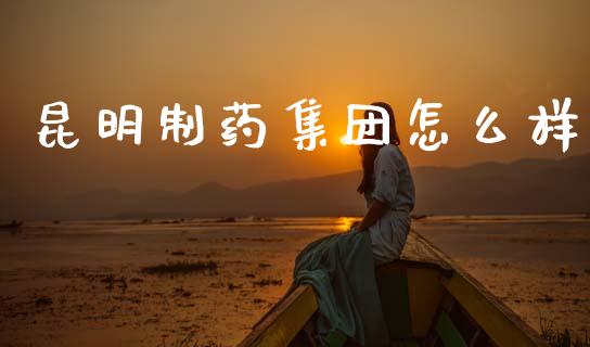 昆明制药集团怎么样_https://m.fsyjjx.cn_股指期货保证金_第1张