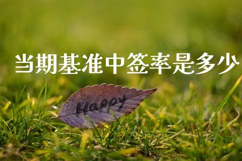 当期基准中签率是多少_https://m.fsyjjx.cn_期货保证金_第1张