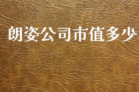 朗姿公司市值多少_https://m.fsyjjx.cn_期货保证金_第1张