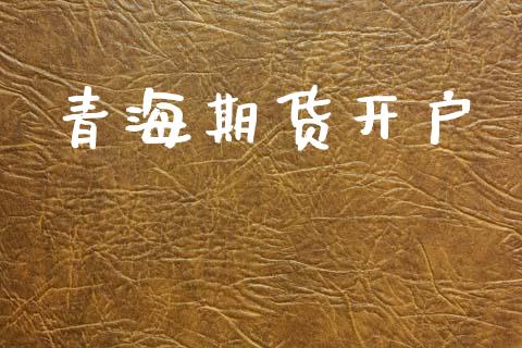 青海期货开户_https://m.fsyjjx.cn_期货保证金_第1张
