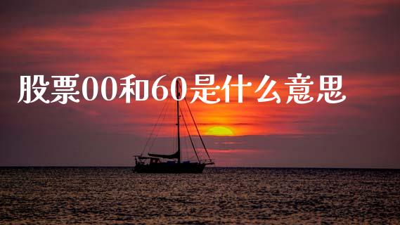 股票00和60是什么意思_https://m.fsyjjx.cn_期货保证金_第1张