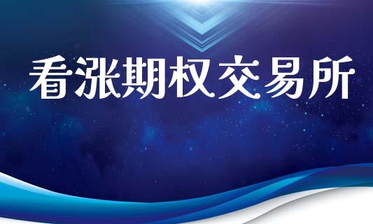 看涨期权交易所_https://m.fsyjjx.cn_期货保证金计算_第1张